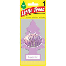 Little Tree Box Lavender * 24