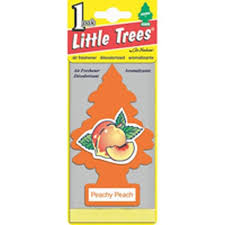 Little Tree Box Peachy Peach * 24